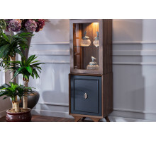 Одностворчатый шкаф витрина для посуды в гостиную Алегро ALEG-12 Одностворчатый шкаф витрина для посуды в гостиную Алегро ALEG-12