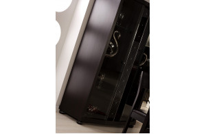 Двухстворчатый шкаф витрина в гостиную Мира MIRA-01 венге Двухстворчатый шкаф витрина в гостиную Мира MIRA-01 венге