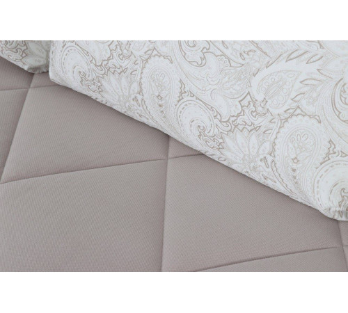 Диван-кровать Флеш-1 (вариант 1)