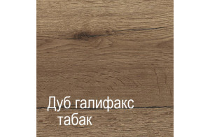 Двухстворчатый шкаф-купе для одежды Г-13 (ДГТ) Гарда с зеркалом Двухстворчатый шкаф-купе для одежды Г-13 (ДГТ) Гарда с зеркалом