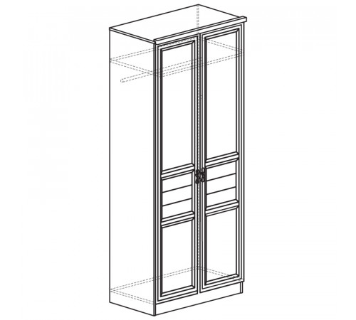 Двухстворчатый шкаф для одежды Лира 40 темный