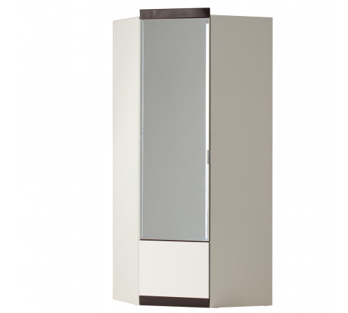 Угловой шкаф для одежды Ронда 309